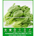 NPK11 Luomu Chine pak choi manufacture de graines, graines pour champ ouvert